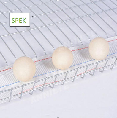 Beli sabuk pengangkut telur anti-UV dan anti-penuaan untuk sistem pengumpulan telur peternakan unggas online manufacture