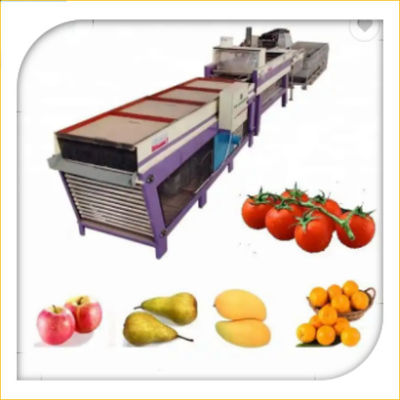 Beli Buah Jeruk Alpukat Mencuci Waxing Pengeringan Dan Mesin Sortasi Grading online manufacture