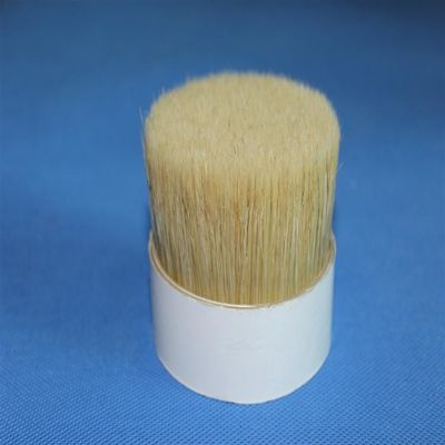 Beli Chungking White Double Boiled Bristles 76mm Wild Pure Untuk Kuas Cat online manufacture