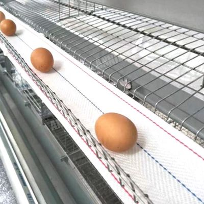 Sabuk pengumpulan telur penjualan panas Annilte di peternakan unggas