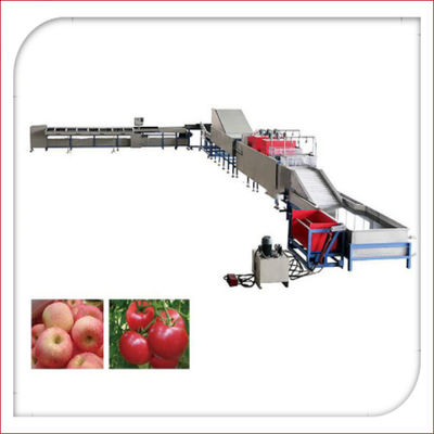 Mesin Pencuci Buah Dan Waxing Elektronik Otomatis 5MT/H