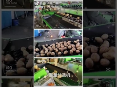 Mesin pembersih dan pemilihan buah