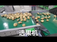 Sesuaikan Penggiling Sayuran Buah