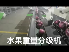 Penyortir buah elektronik otomatis dan mesin timbang