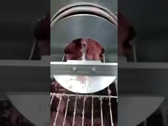 Pinggang pemisah tulang ikan PU, sabuk pemisah penghapusan tulang, sabuk pengangkut